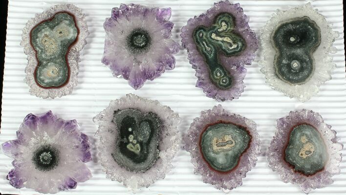 Lot: to Amethyst Stalactite Slices ( Pieces) #77694